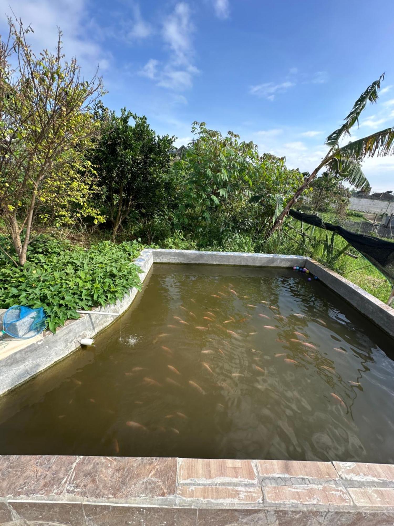 Jason Farm Villa Pacet  Esterno foto